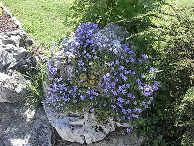 San Donà di Piave Bed & Breakfast Villa Lisetta מראה חיצוני תמונה